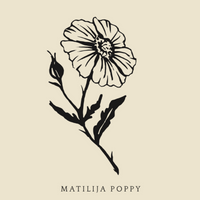 Matilija Poppy