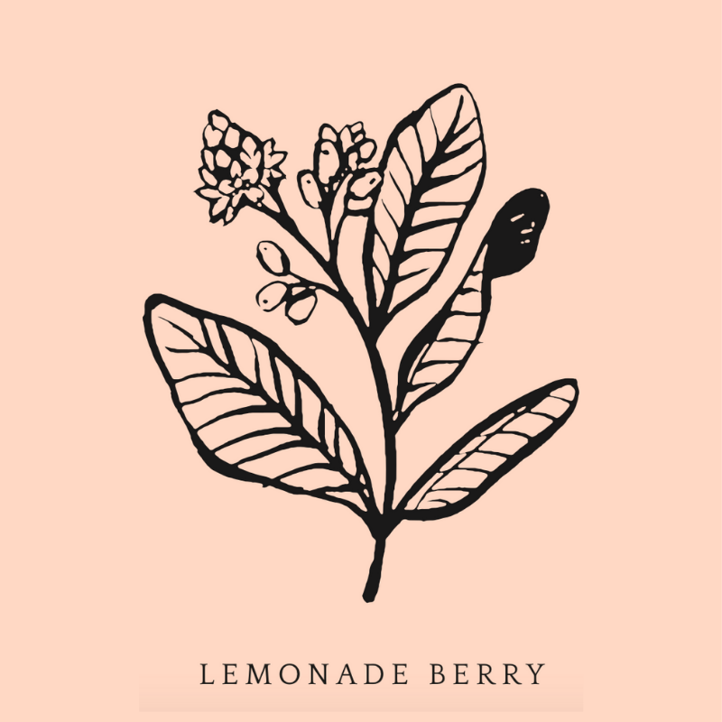 Lemonade Berry